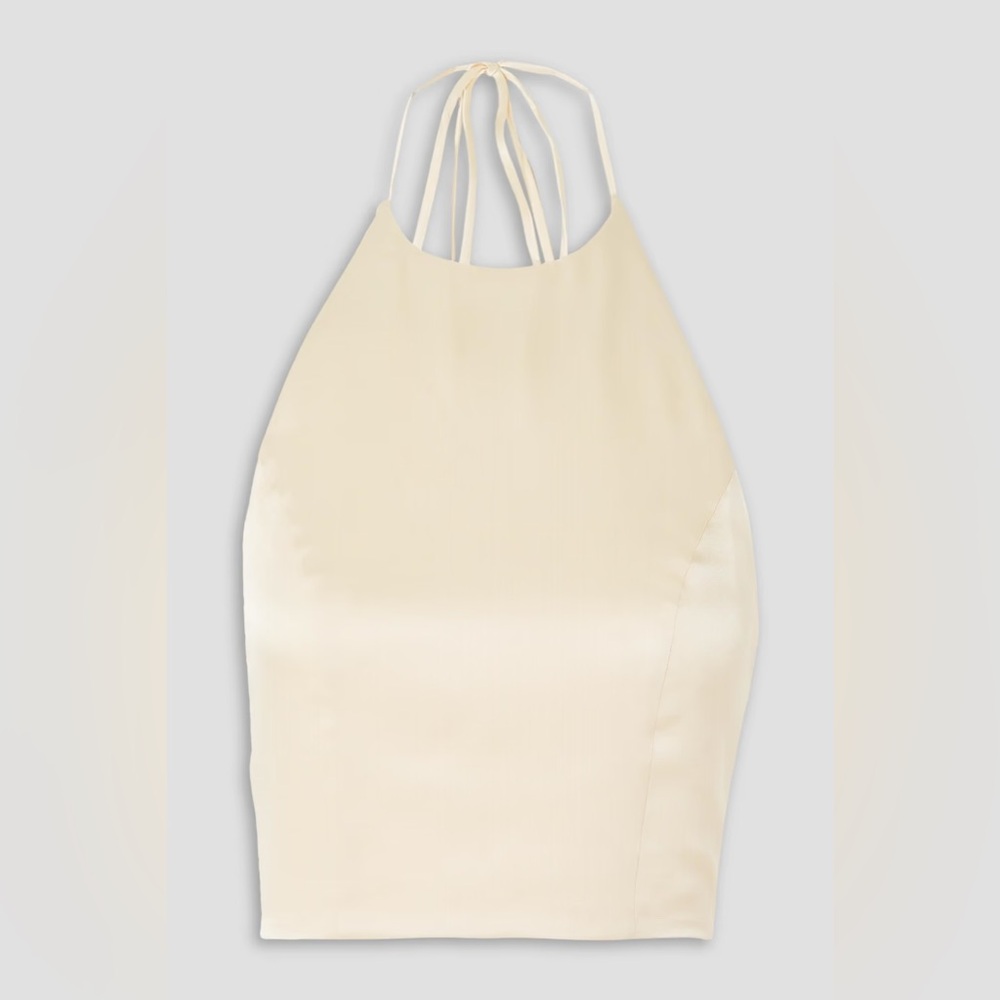 Anine Bing Leslie Backless Silk Halterneck Top In Cream
